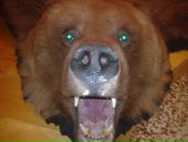 Фотография Смольникова Георгия