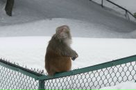 Фотография Чубаренковой Натс