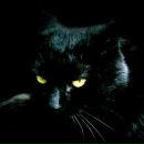 Фотография Репина Александра