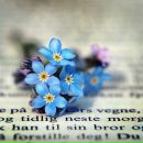 Анастасія Заходило фотография #14 (источник - https://vk.com/id158563544)