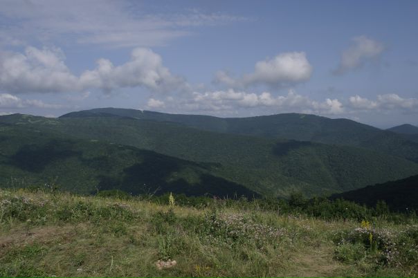 Сергей Гомов фото №49
