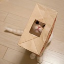 Фотография Скопинской Лилии