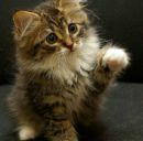 Костя Роганін фотография #12 (источник - https://vk.com/id166542965)