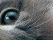 Анастасия Солдатова фотография #27 (источник - https://vk.com/id10623)