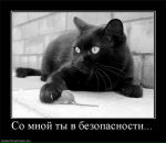 Фотография Вопилова Дениса