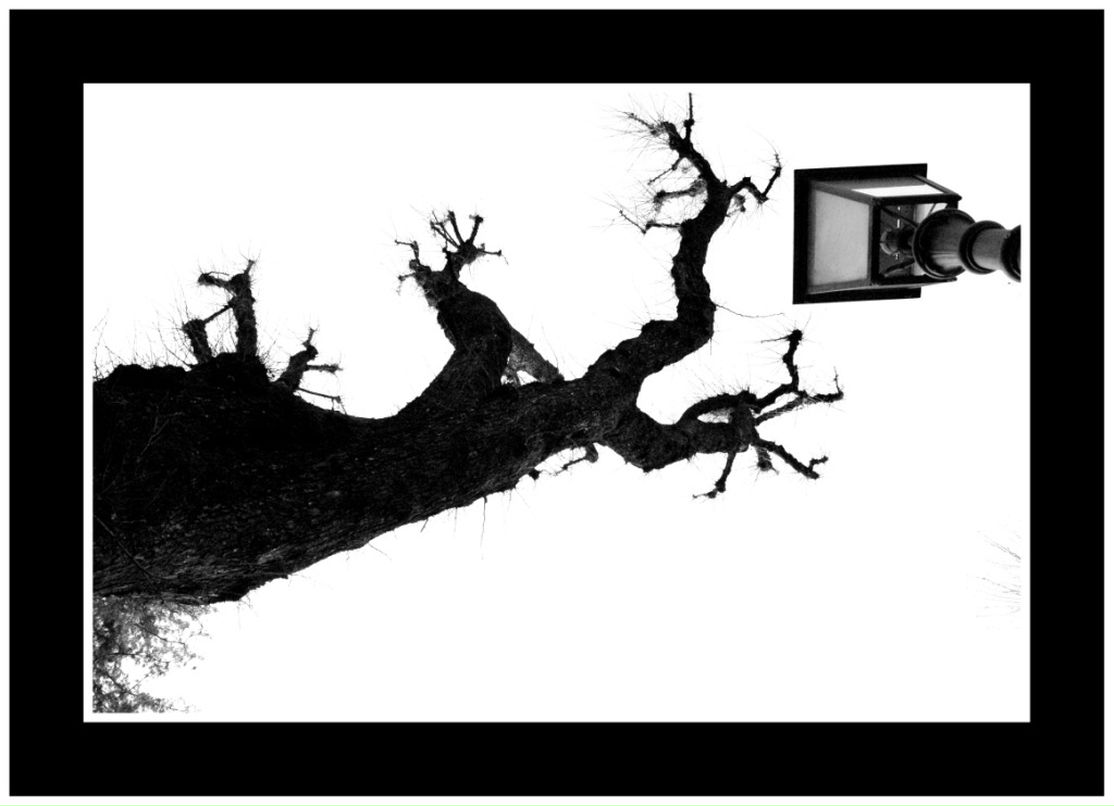 Максим Горбулин фотография #37