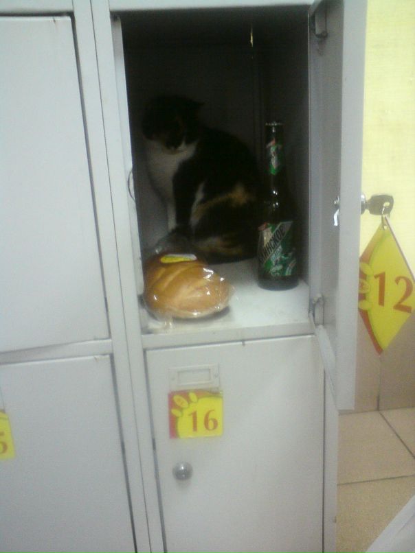 Сергей Табунов фотография #22