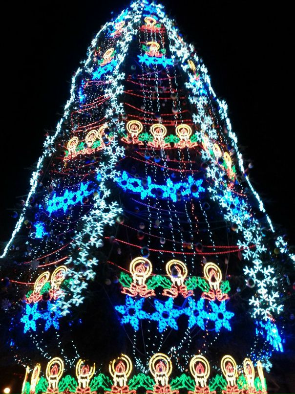 Света Никитенко фотография #38