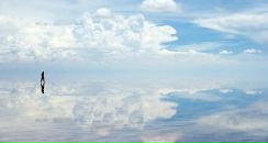 Фотография Спасского Гены