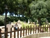 Серхіо Штефуца фотография #25 (источник - https://vk.com/id47490698)