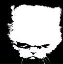 Фотография Ковалёвой Ольги