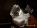 :-)анатолий Пилипчук(-: фотография #31 (источник - https://vk.com/id147559096)