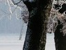 Міша Ковдра фотография #2 (источник - https://vk.com/id32460345)
