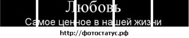  фотография #33