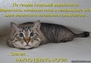 Олександр Андрійчук фотография #36 (источник - https://vk.com/id134024922)