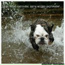 Віталій Зубчевський фотография #47 (источник - https://vk.com/id51557664)