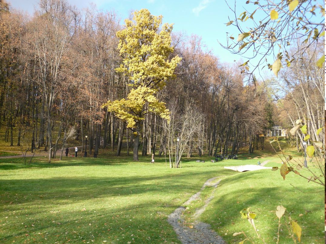 Виктор Цаллаев фотография #33