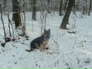 Роман Іванів фотография #48 (источник - https://vk.com/id135233971)