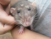 Фотография Кудряшовой Яны