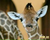 Фотография Михалева Захара