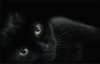 Фотография Демидовой Елены