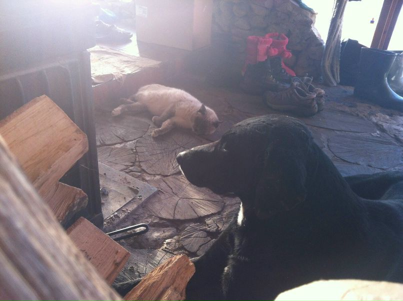 Дмитрий Нестеров фотография #39