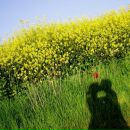 Іра Медведенко фотография #50 (источник - https://vk.com/id18743238)