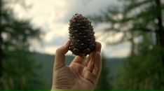 Миша Мишин фотография #4 (источник - https://vk.com/id7496491)