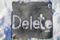 Дмитрий Шевченко фотография #1