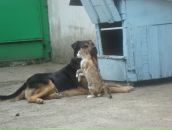 Фотография Тицовой Веры