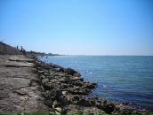 Фотография Лызаевой Эльзы