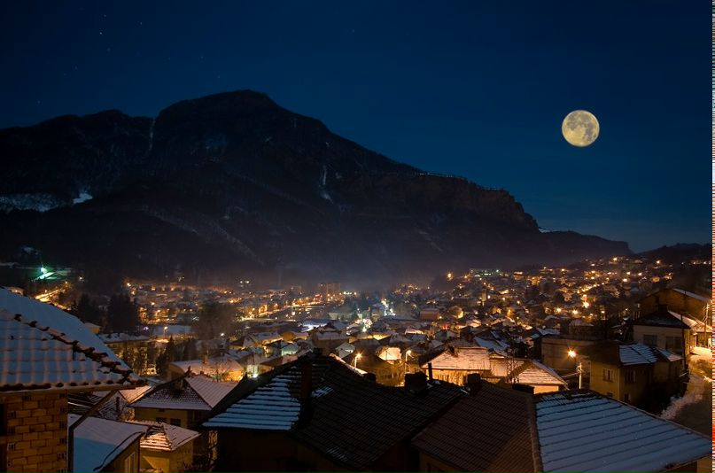 Цецко Цецко фотография #26