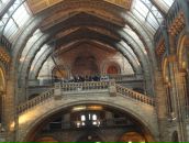 Олег Фітьо фотография #23 (источник - https://vk.com/id34829295)