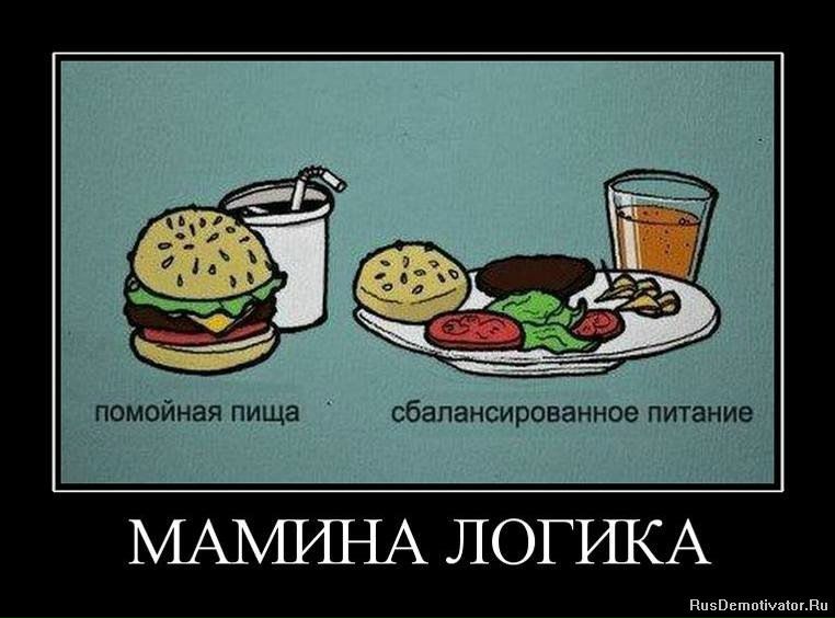 №17, Михаил Сафин, Санкт-Петербург №17, Михаил Сафин, Санкт-Петербург