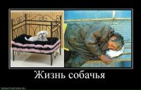 Юрій Яценко фотография #5 (источник - https://vk.com/id54146933)