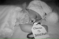 Фотография Малкин Александр