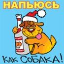 Назар Ціхольський фотография #6 (источник - https://vk.com/id159571750)