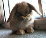 Фотография Игоревны Татьяны