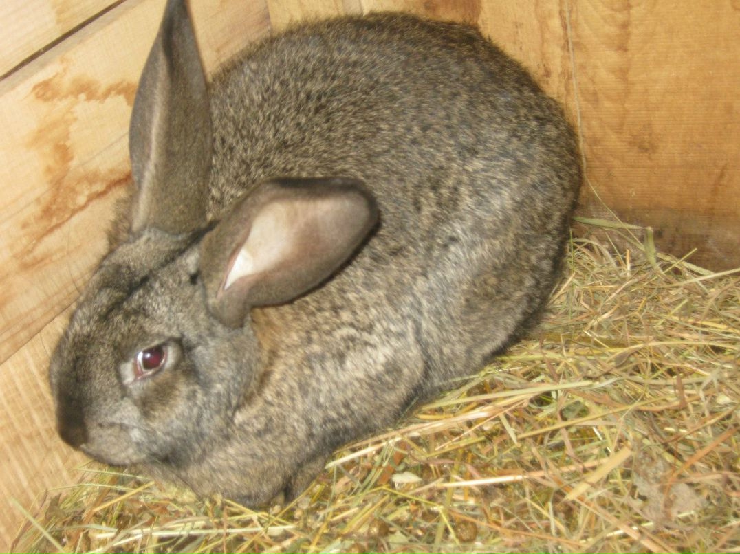 Иван Будин фотография #22