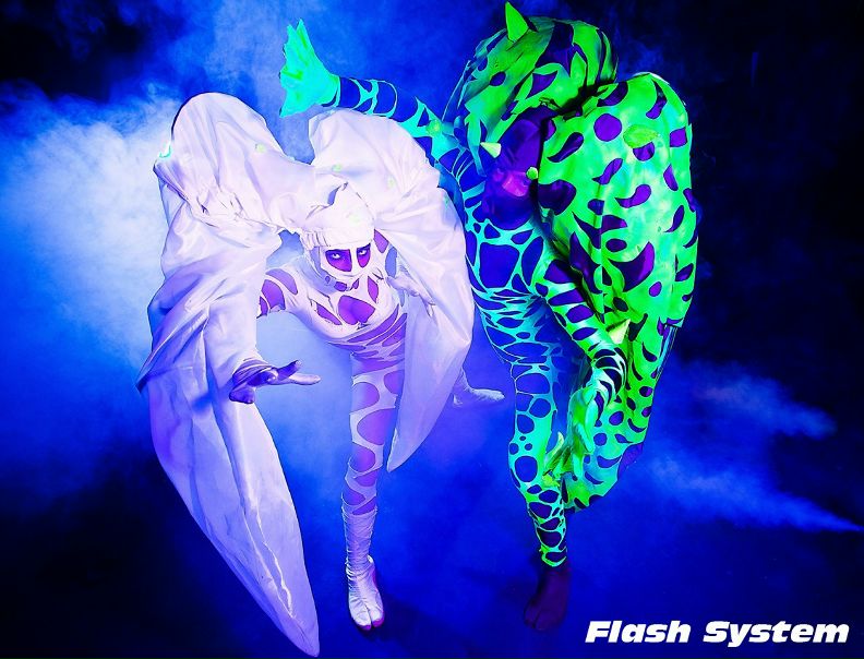 Flash System фото №4