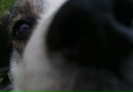 Фотография Новиков Денис