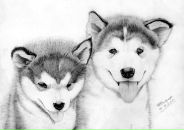 Ефим Букин фотография #24 (источник - https://vk.com/id2541725)