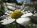 Фотография Дроздовой Юлии