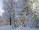 Діана Філеп фотография #17 (источник - https://vk.com/id59832299)
