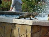 Иван Курай фотография #27 (источник - https://vk.com/id1466987)