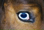 Фотография Дурдыев Вадим