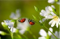 Фотография Никитиной Веры