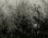 Фотография Толстых Никиты