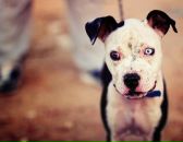 Диня Диня фотография #3 (источник - https://vk.com/id42298321)