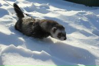 Владимир Бурматнов фотография #43 (источник - https://vk.com/id12703671)